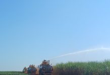 Araraquara encerra 2º trimestre com superávit de US$ 170,58 milhões