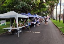 Feira Municipal de Economia Criativa e Solidária reúne 60 expositores neste sábado