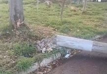 Carro é abandonado depois de derrubar poste na Rua Adélia Izique