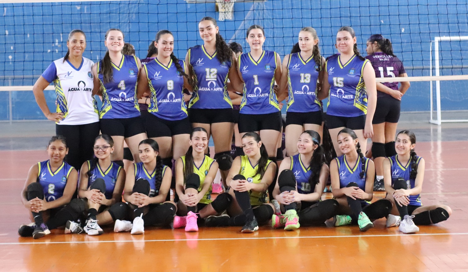 volei