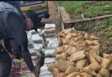 Polícia Rodoviária apreende cerca de 500 quilos de drogas