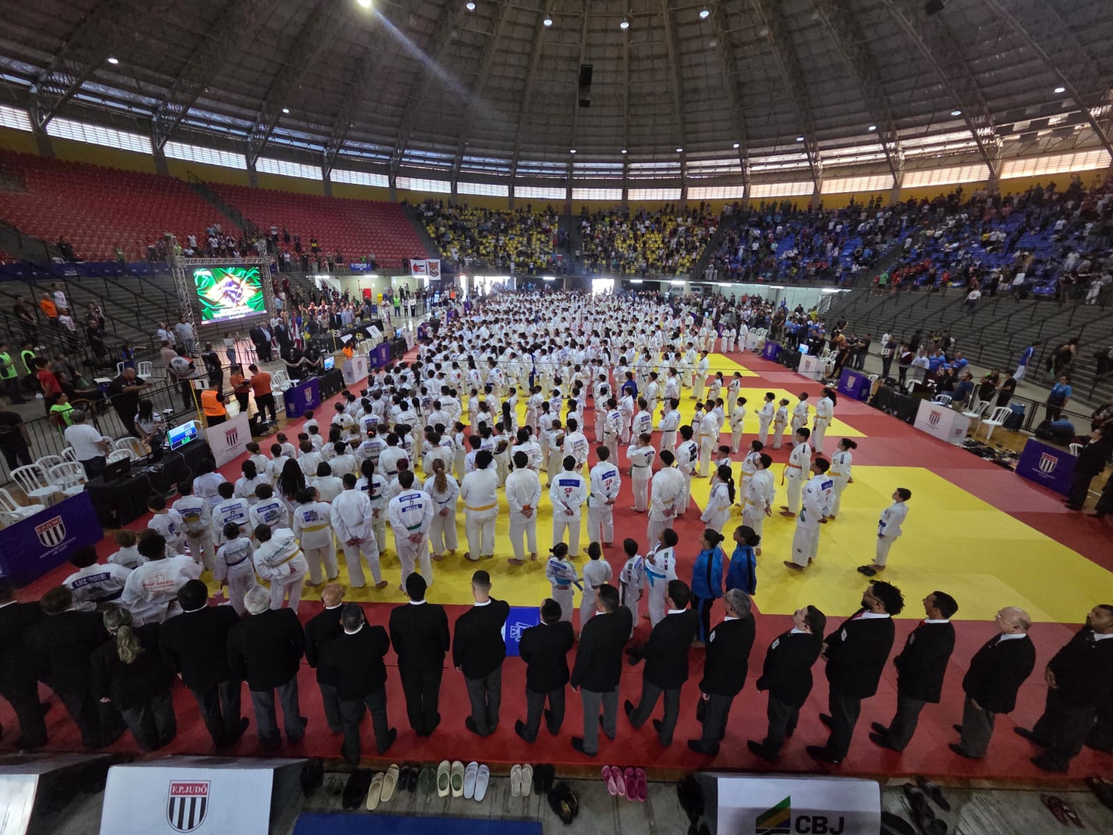 judo
