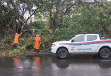 Defesa Civil registra várias quedas de árvore e pontos de alagamento nesse domingo (4)